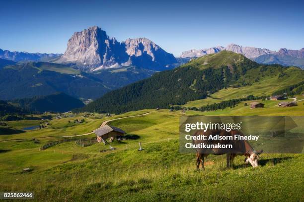 seceda, italy - dolomites stock pictures, royalty-free photos & images