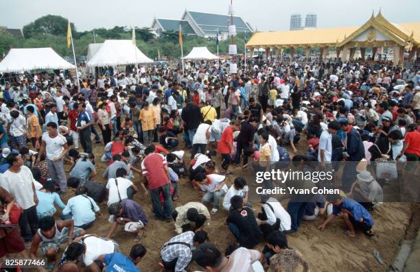 Crowds of people scour the ground for grains of rice ritually sown in the Royal Field during the royal ploughing ceremony. The royal ploughing...