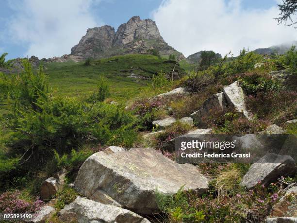 mount punta maror seen from sentiero dei fiori (flowers trail), alpe veglia natural park - sentiero - fotografias e filmes do acervo