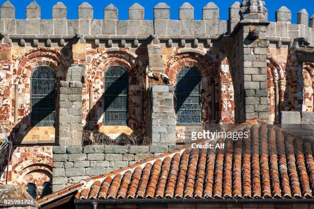 cathedral of the savior of avila from the city wall, avila, spain - flying buttress 個照片及圖片檔