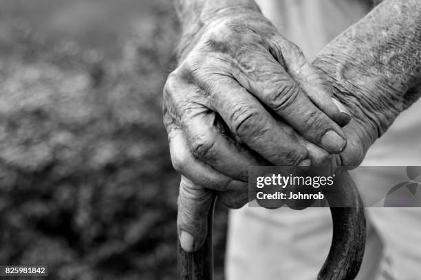 arthritic hands resting on cane in black and white. looking down view at hands. - rheumatoid arthritis stock pictures, royalty-free photos & images