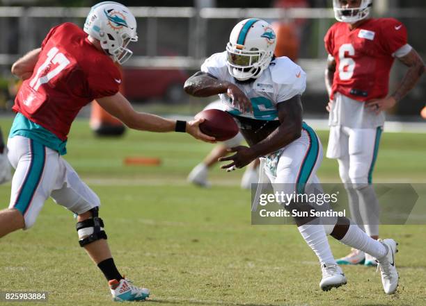 Miami Dolphins quarterback Ryan Tannehill hands the ball to running back Damien Williams on Thursday, Aug. 3, 2017 at Dolphins training camp at...