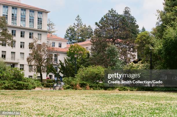 Field of wildflowers in front of academic buildings on the campus of the University of California in Berkeley, California, July 2, 2017.