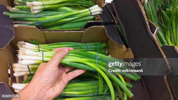 man picking up good chives, scallions and green onions  in shop for vegetarian meal. - cebolla de primavera fotografías e imágenes de stock