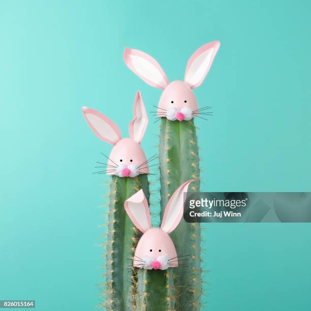 cactus with easter rabbit decorations - easter hats stockfoto's en -beelden