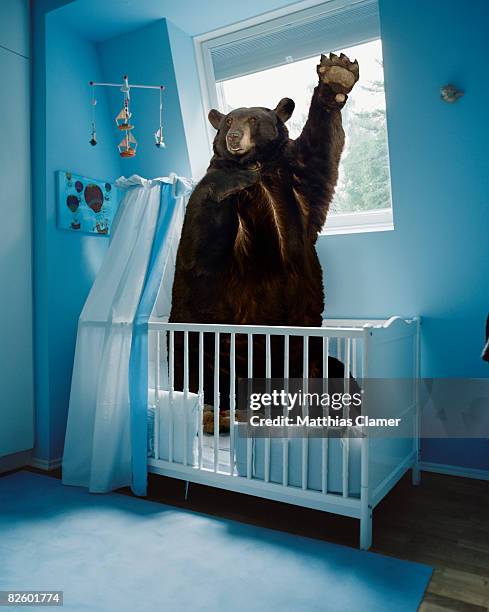 a bear inside a crib in a blue room - empty cot stock pictures, royalty-free photos & images