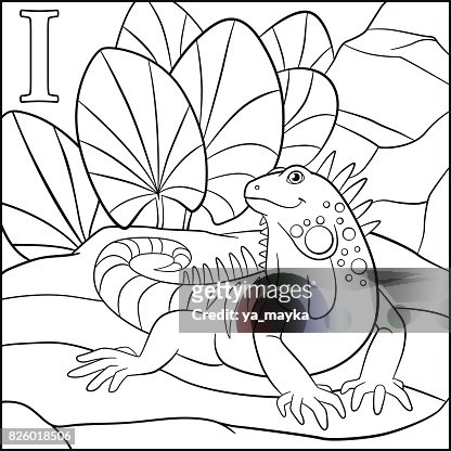 Página Para Colorear Alfabeto De Animales De Dibujos Animados Es Para La  Iguana Ilustración de stock - Getty Images