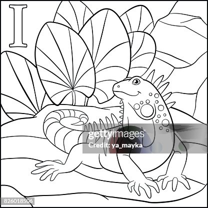 Página Para Colorear Alfabeto De Animales De Dibujos Animados Es Para La Iguana Ilustración de stock - Getty Images Página Para Colorear Alfabeto De Animales De Dibujos Animados Es Para La Iguana Ilustración de stock - Getty Images