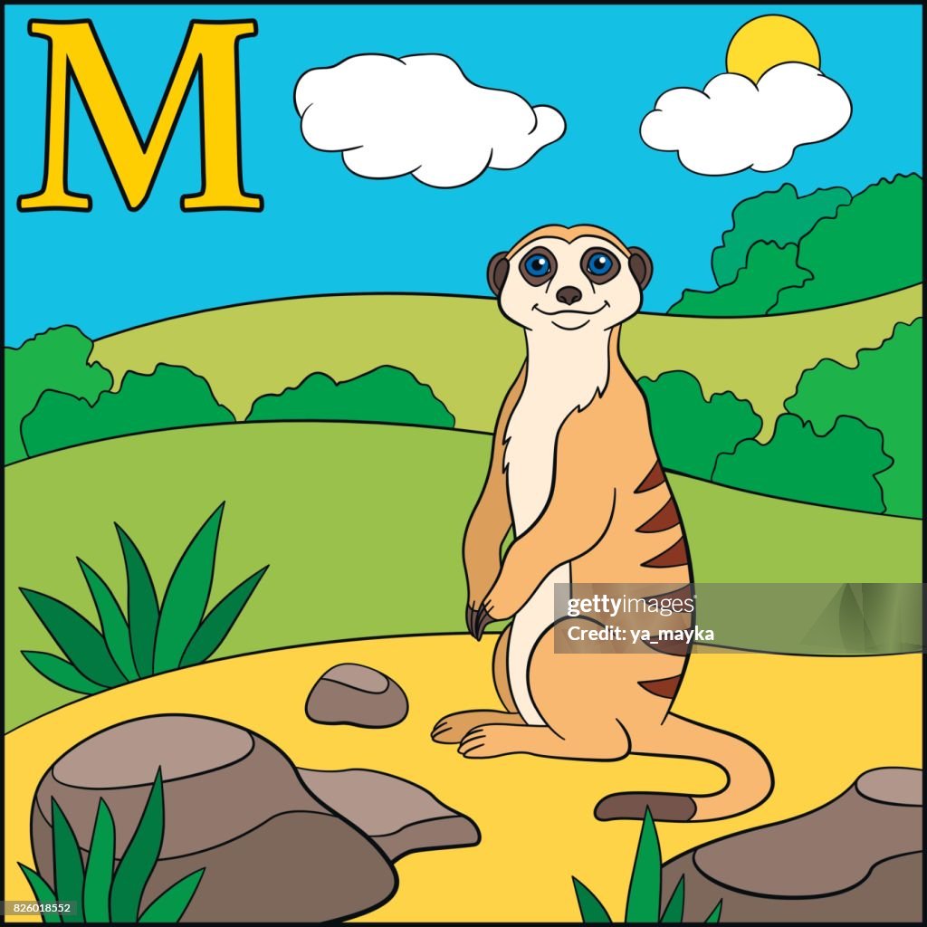 Alfabeto De Animales De Dibujos Animados M Es Para Suricata Ilustración de  stock - Getty Images