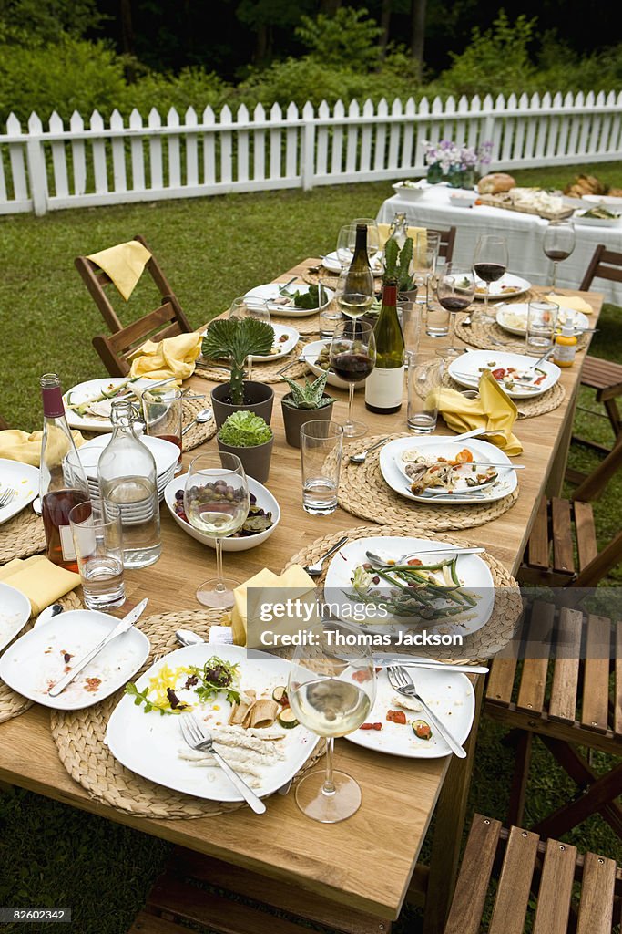  Food at outdoor dinner party in countryside