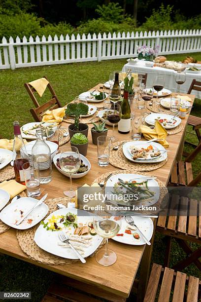 food at outdoor dinner party in countryside - end bildbanksfoton och bilder