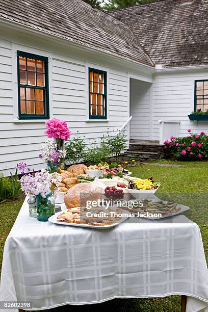 food at outdoor dinner party in countryside - napanoch stock pictures, royalty-free photos & images