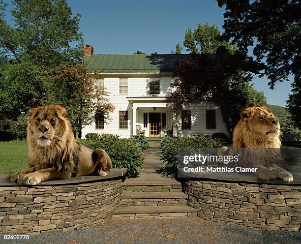 two lions guarding a house entrance - lion monument stock pictures, royalty-free photos & images