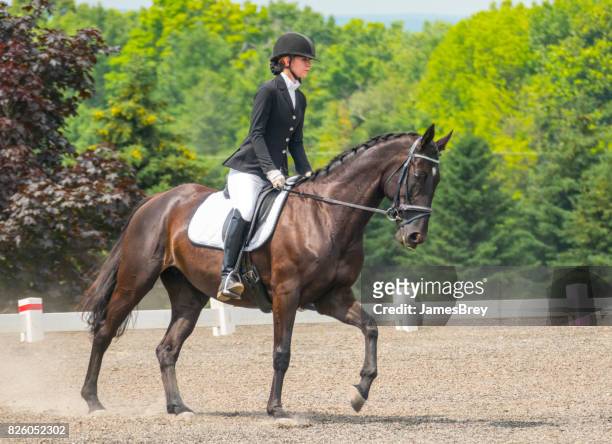skilled rider on magnificent steed in dressage exhibition - dressage stock pictures, royalty-free photos & images