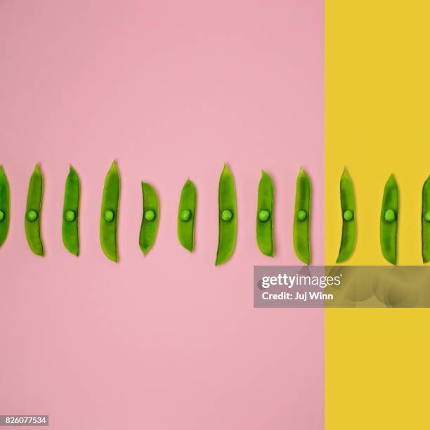 Fresh spring peas in a row on a color blocked background