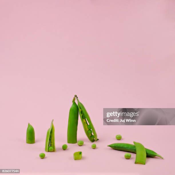 Fresh spring peas arranged in a still life on a pink background