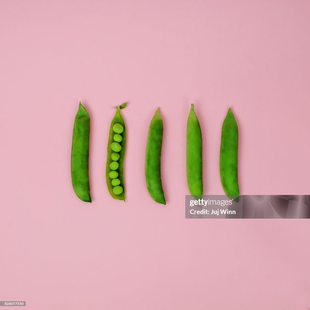 Fresh spring peas in a row on a pink background