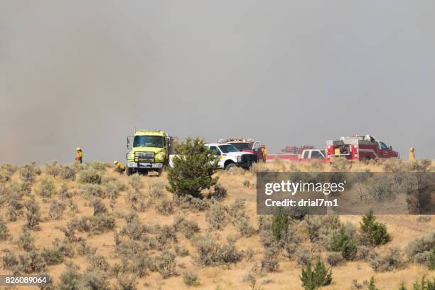 fighting the emerson fire - forest fire oregon stock pictures, royalty-free photos & images