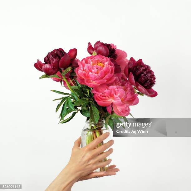 hands holding vibrant pink flowers in jar - blumenvase stock-fotos und bilder