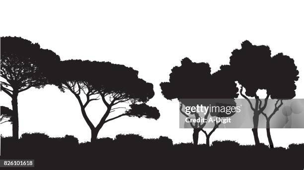 mediterranean landscape - treelined stock illustrations