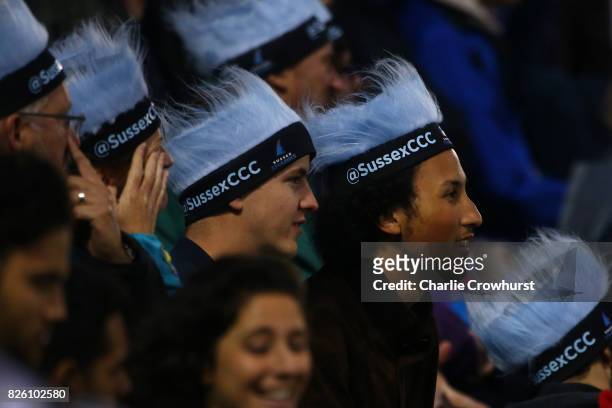 Fans enjoy the cricket during the NatWest T20 Blast match between Sussex Sharks and Surrey at The 1st Central County Ground on August 3, 2017 in...