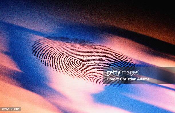 fingerprint, close-up - fingerprinting stock-fotos und bilder