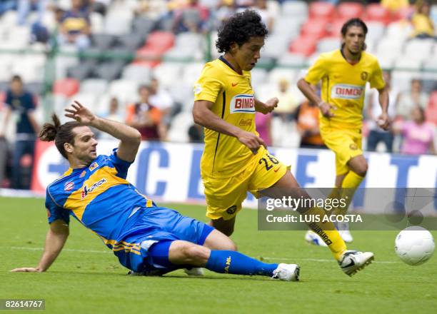 Tigres' Guillermo Marino vies for the ball with America's Juan Silva during their Mexican league football match in Mexico City on August 31, 2008....