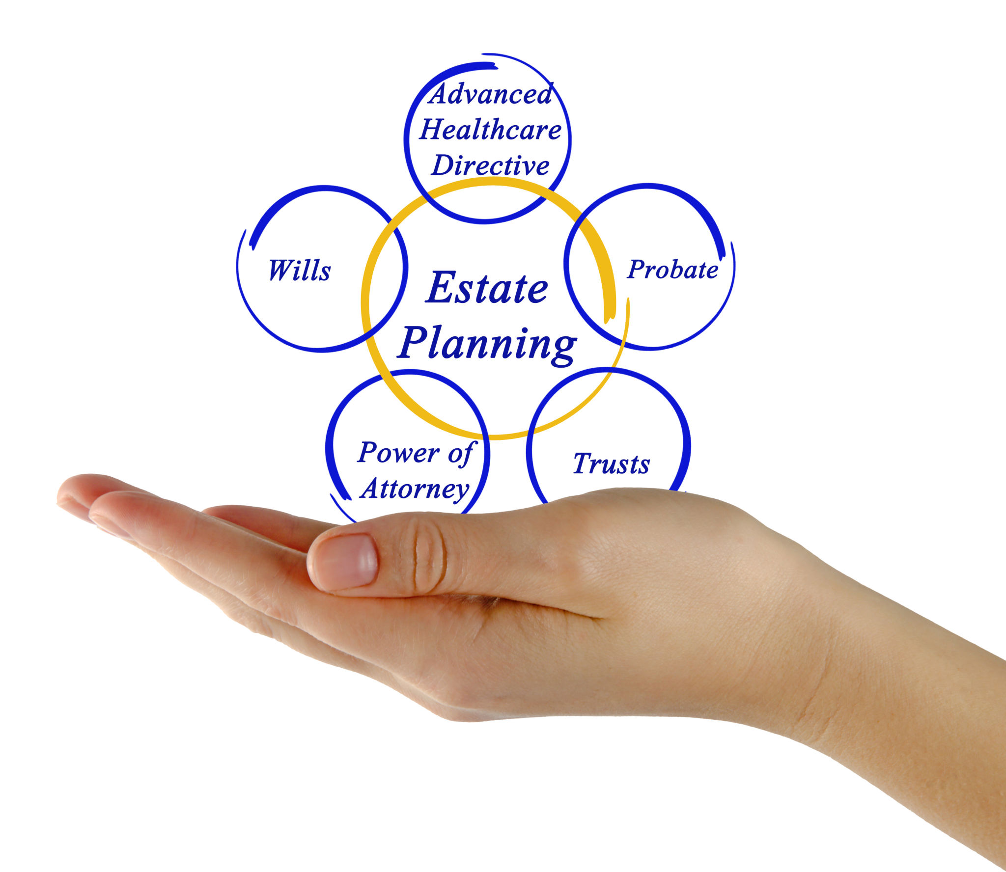 holding company diagram