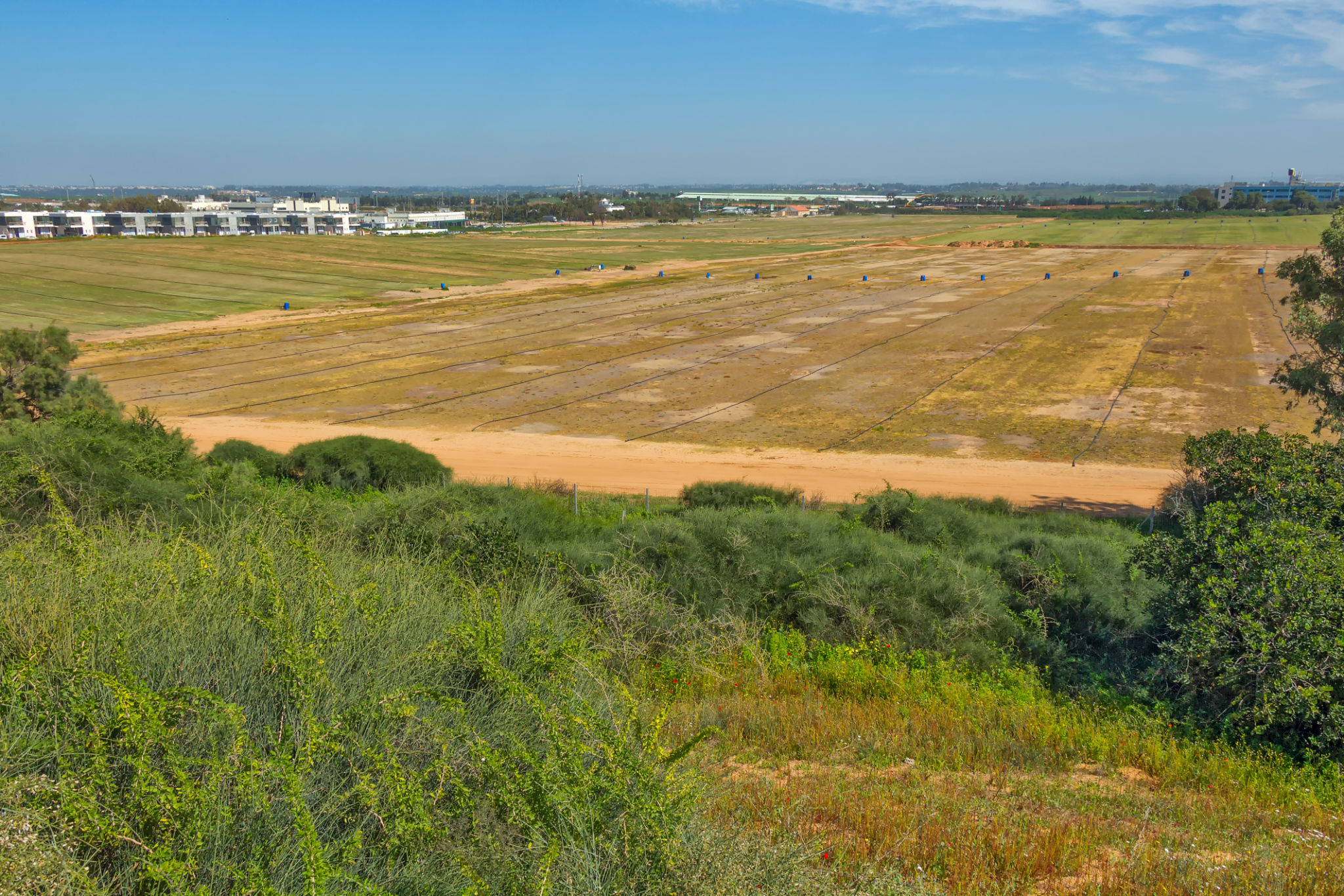undeveloped land