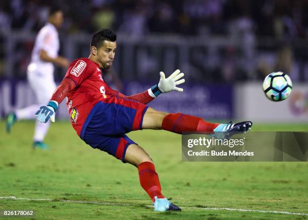 Goalkeeper Fabio of Cruzeiro in action during a match between Vasco da Gama and Cruzeiro as part of Brasileirao Series A 2017 at Raulino de Oliveira...