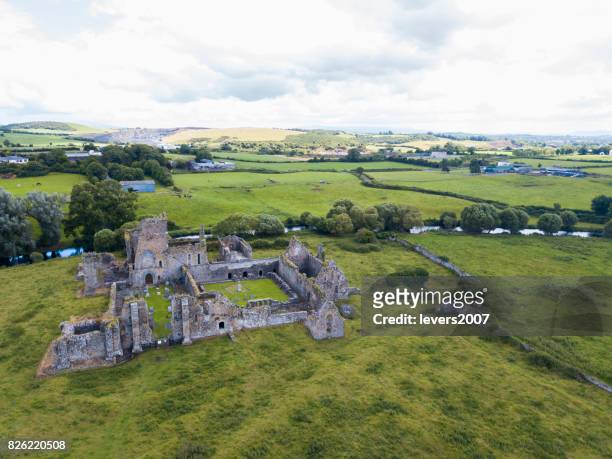 ruins of an old castle, athassel abbey, golden, co. tipperary, ireland - county tipperary stock pictures, royalty-free photos & images