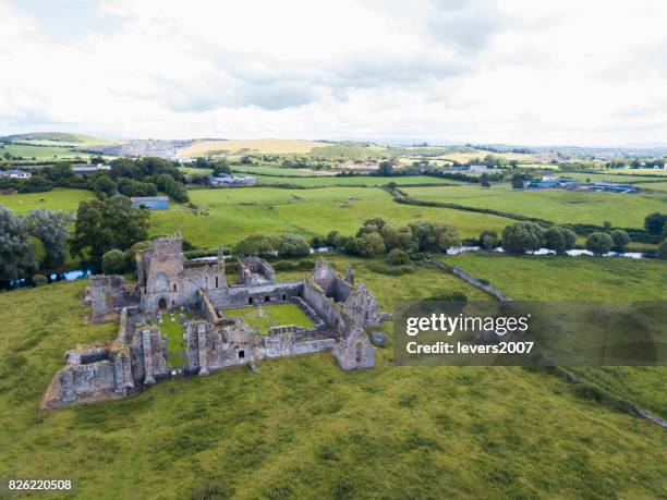 ruins of an old castle, athassel abbey, golden, co. tipperary, ireland - county tipperary imagens e fotografias de stock