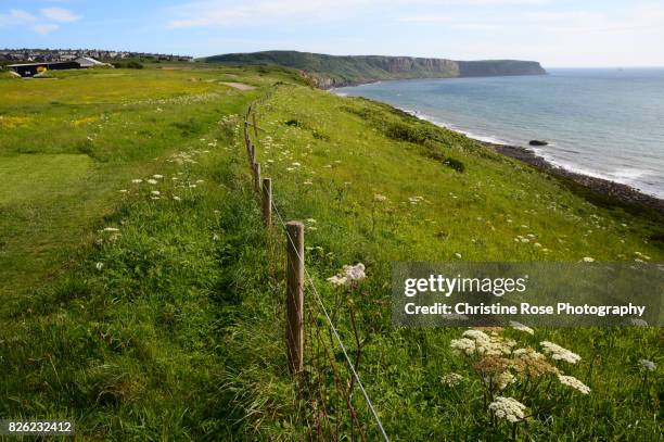 walking the fence - copeland cumbria stock pictures, royalty-free photos & images