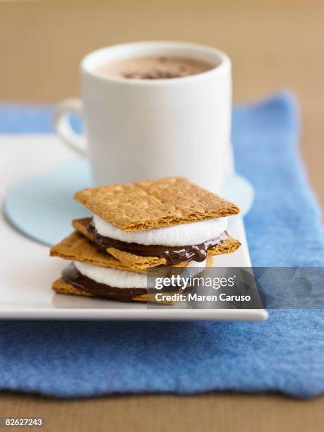 smores hot chocolate - frango stock pictures, royalty-free photos & images