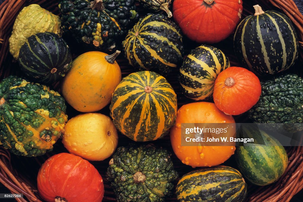 Gourds in basket