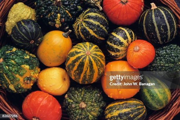 gourds in basket - gourd stock pictures, royalty-free photos & images