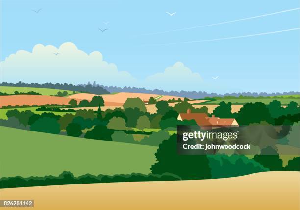 horizontal english landscape illustration - farmhouse stock illustrations