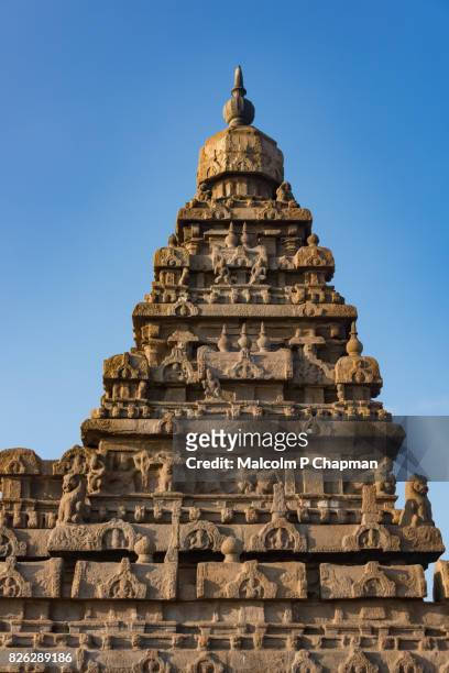 shore temple, mahabalipuram (mamallapuram), tamil nadu, india at sunrise. - india "malcolm p chapman" or "malcolm chapman" stock-fotos und bilder