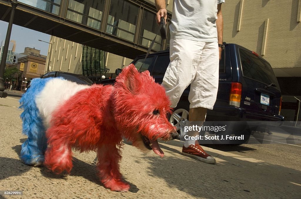 RNC: Patriotic Pooch