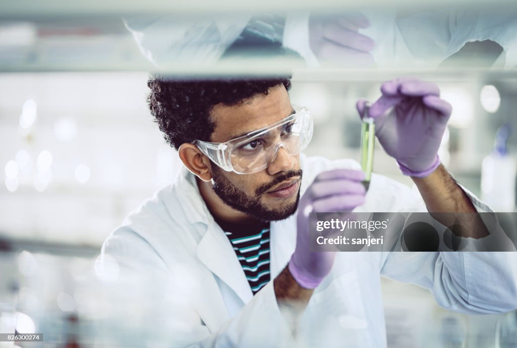 Wissenschaftler schaut in Reagenzglas