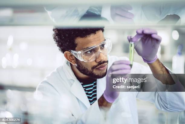 scientist looking at test tube - science lab test tubes stock pictures, royalty-free photos & images
