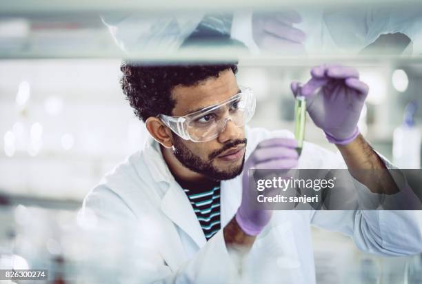 scientist looking at test tube - biology lab stock pictures, royalty-free photos & images