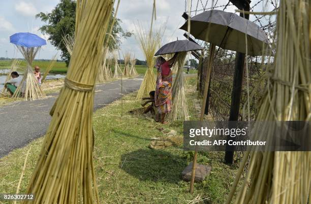 Indian farmer dry jute vegetable fibres in Datrapara village near the India-Bangladesh border, some 25km from Siliguri, on August 4, 2017. / AFP...