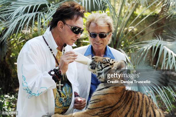 Illusionists Roy Horn and Siegfried Fischbacher with their 4 1/2 month old tiger cubs at Siegfried and Roy's Secret Garden at the Mirage Hotel and...