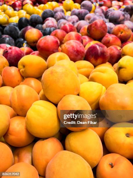 assorted fruits in store display - nectarine stock-fotos und bilder