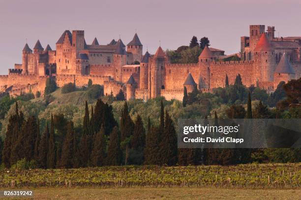 carcassonne, languedoc, france - roussillon stock pictures, royalty-free photos & images