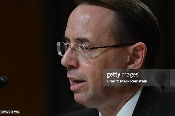 Deputy Attorney General Rod Rosenstein testifies before the Senate Appropriations Subcommittee on Justice, Washington DC, June 13, 2017.