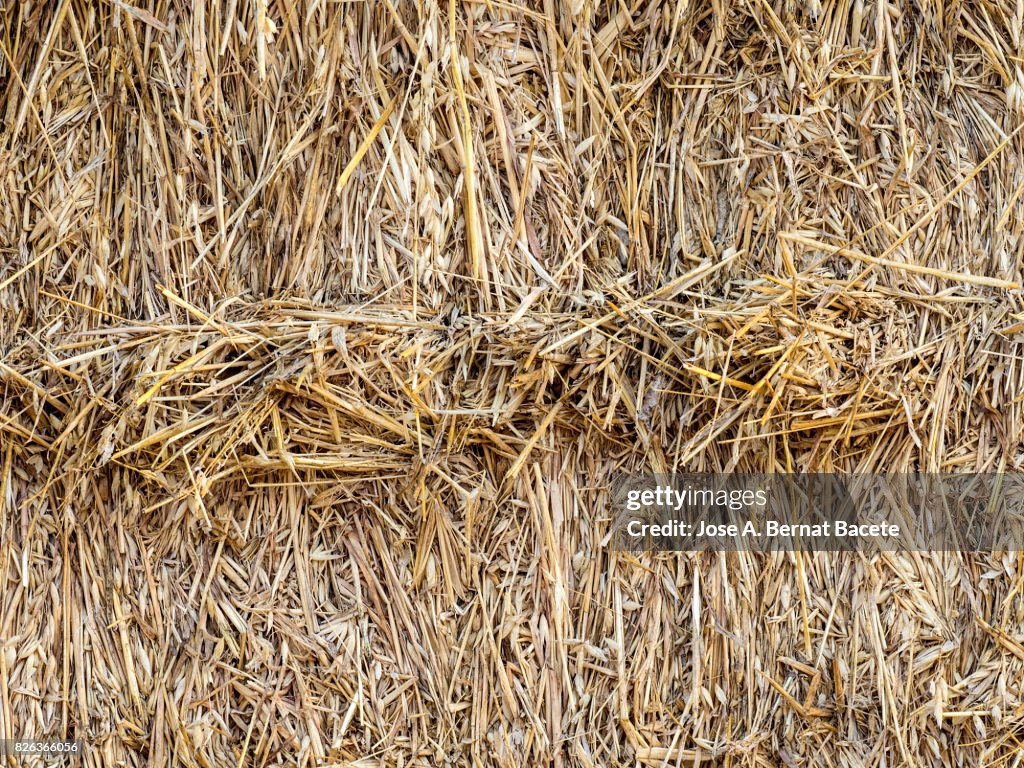 Full frame of a dry straw bale in the field, Spain