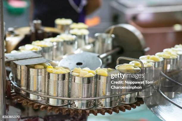 canned pineapple production line, thailand - food processing plant stock pictures, royalty-free photos & images