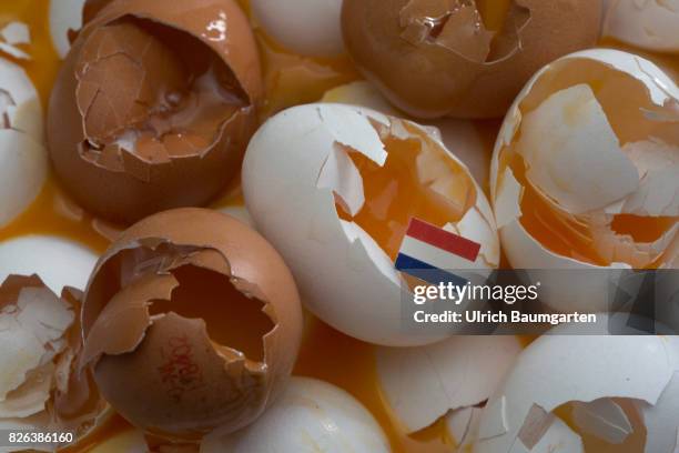 Food scandal around the eggs contaminated with the insecticide Fipronil. The photo shows broken eggs with the flag of the Netherlands.